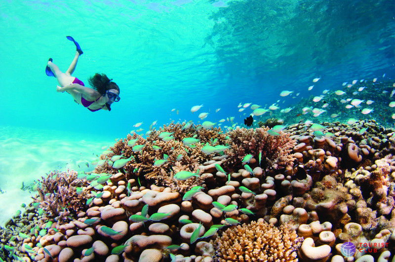 Four Seasons Resort Maldives at Kuda Huraa - фото отеля