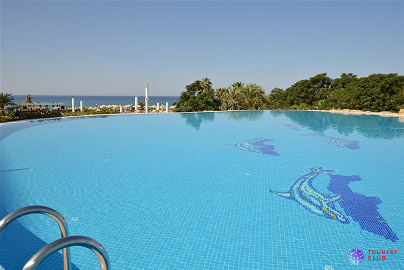 Starlight Resort Hotel - фото отеля