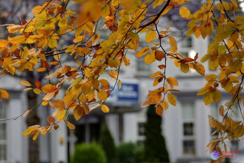 Best Western New Kent Hotel - фото отеля