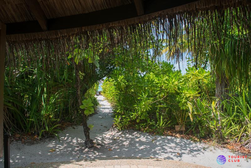 Coco Palm Dhuni Kolhu - фото отеля