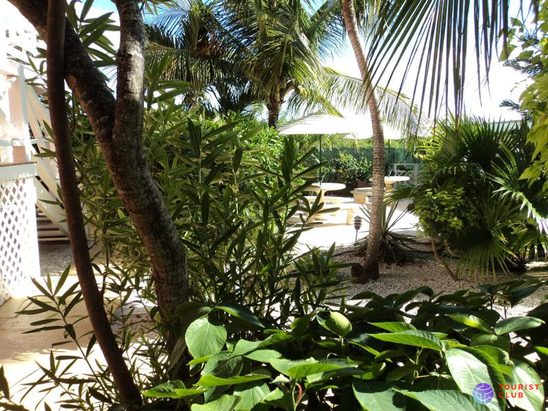 Caribbean Paradise Inn - фото отеля