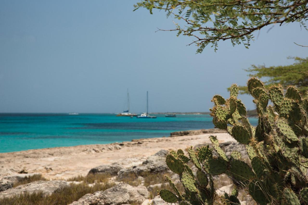 Marriott's Aruba Surf Club - фото отеля