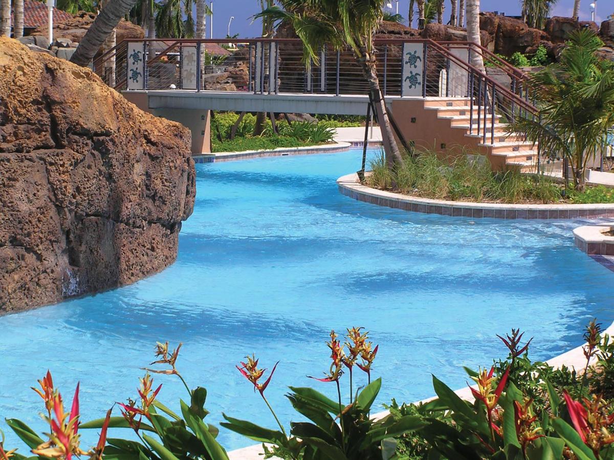 Marriott's Aruba Surf Club - фото отеля