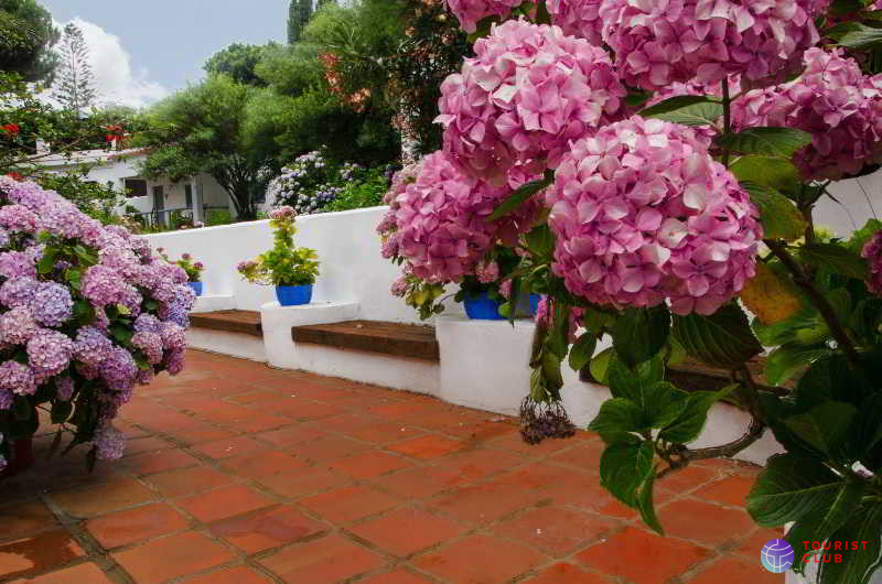 Meson de Sancho - фото отеля