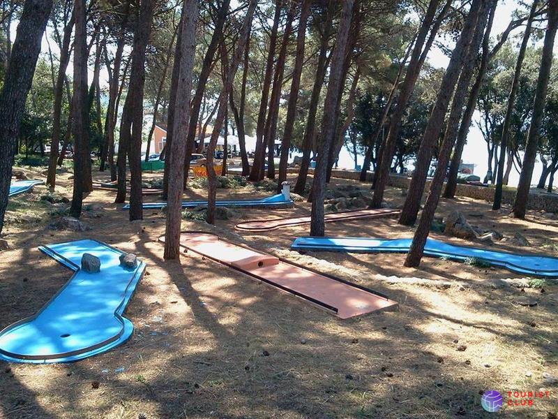 Drazica Hotel, Tamaris Villa and Villa Lovorka - фото отеля