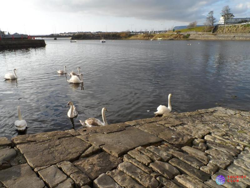 Sligo City - фото отеля