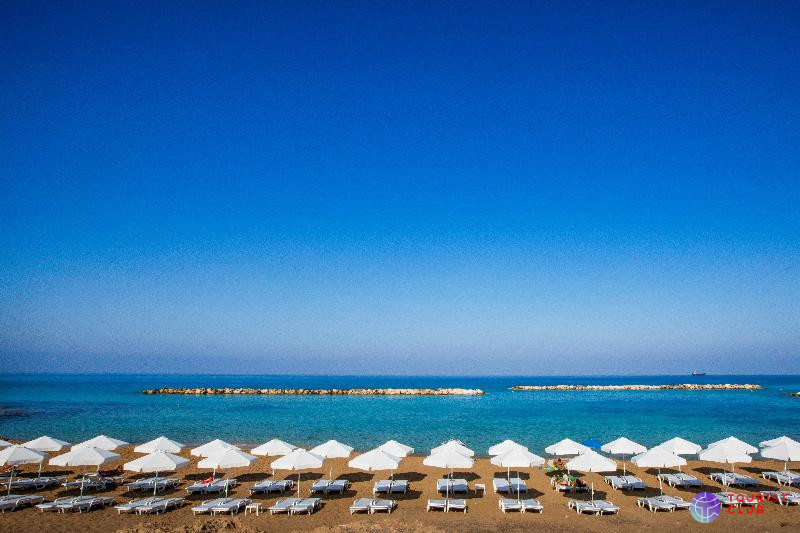 Venus Beach Hotel - фото отеля