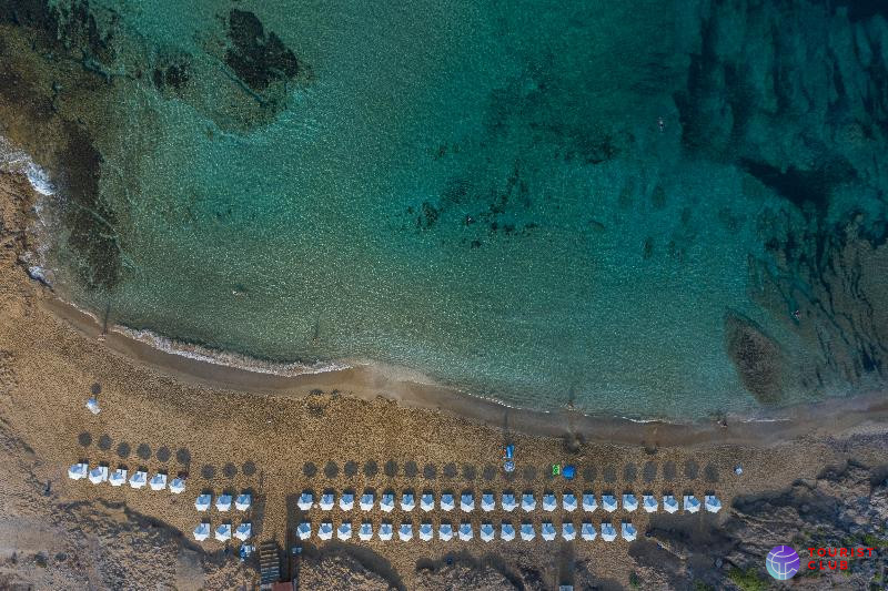 Venus Beach Hotel - фото отеля