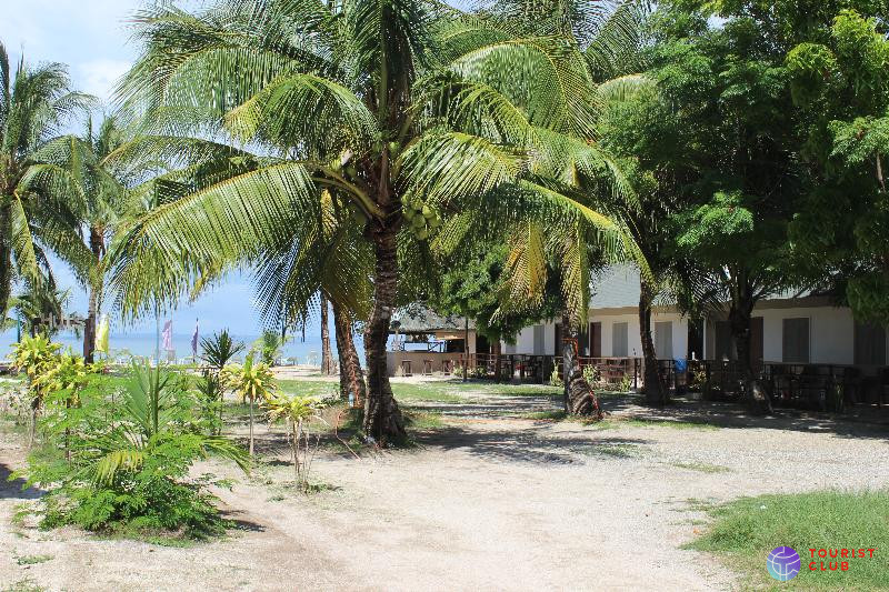 Bantayan Huts - фото отеля