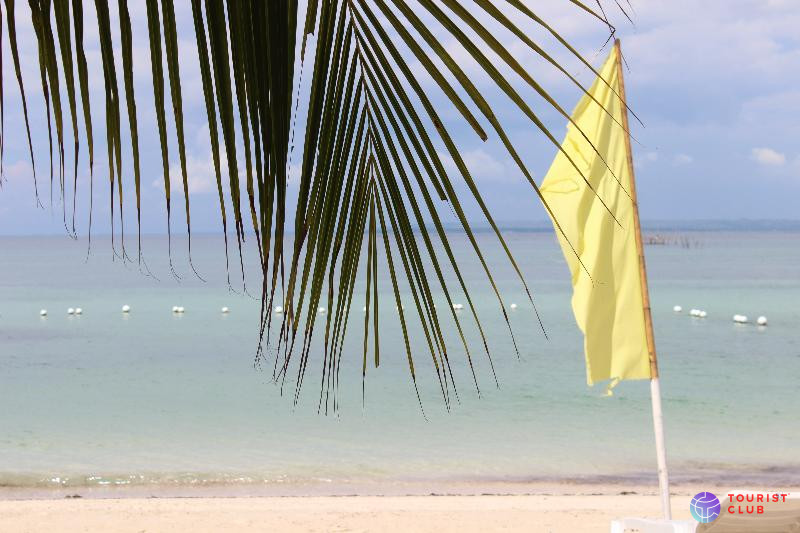 Bantayan Huts - фото отеля