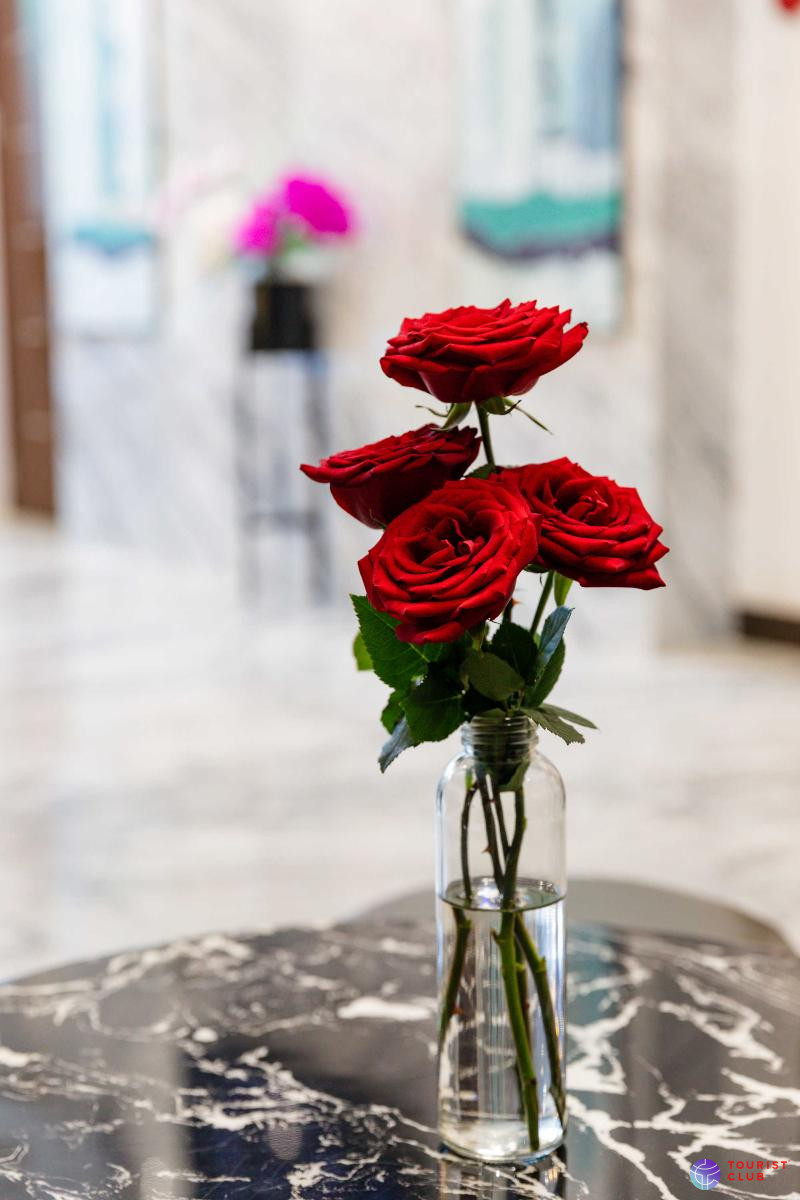 Ivy Hotel Nha Trang - фото отеля