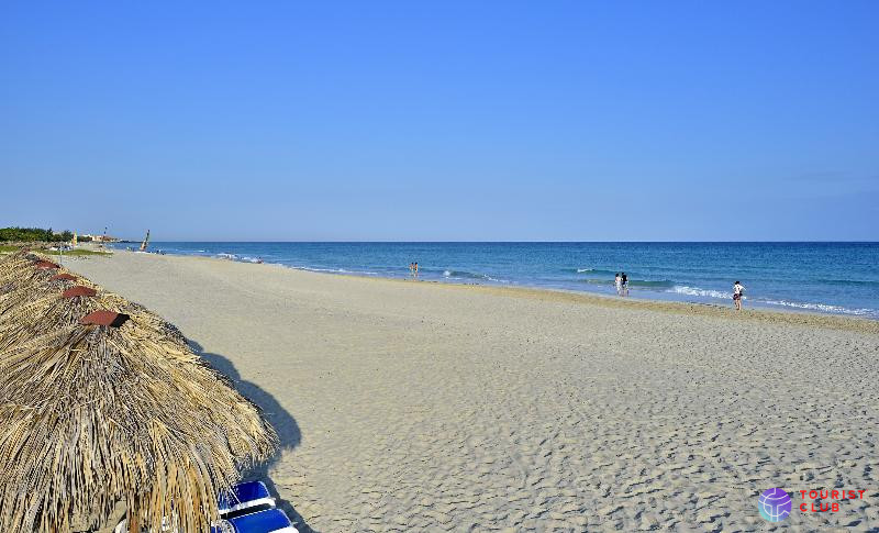 Melia Las Antillas (16+) - фото отеля