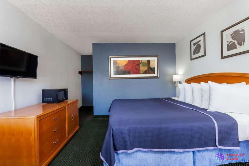Super 8 by Wyndham Orlando Near Florida Mall - фото отеля